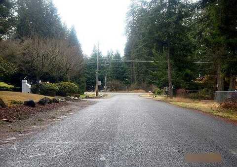 30Th, SPANAWAY, WA 98387