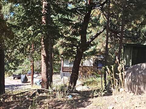 Edelweiss, EVERGREEN, CO 80439
