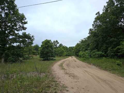 118Th, ALLEGAN, MI 49010