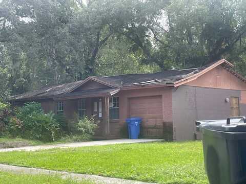Dolphin, TAMPA, FL 33617