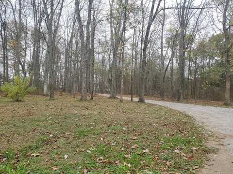 Wildberry, CHAPEL HILL, TN 37034