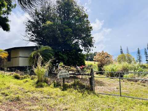 35-194 PAPAALOA RD, Laupahoehoe, HI 96764
