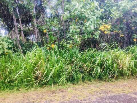 E KOAEKEA ST, Pahoa, HI 96778