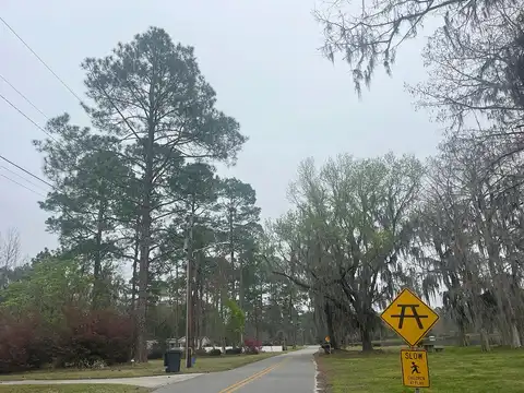 Lakeshore, LAKELAND, GA 31635