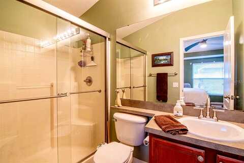 Quarter Horse, RIVERVIEW, FL 33578