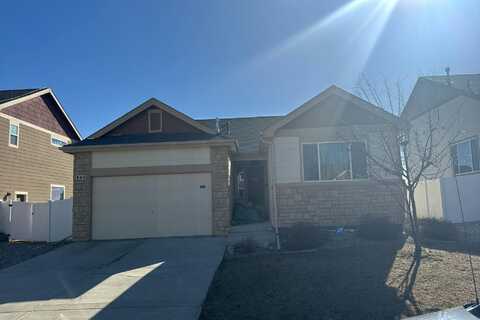 Scotch Pine, SEVERANCE, CO 80550