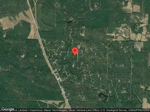 Big Foot Wallace Trl, Livingston, TX 77351