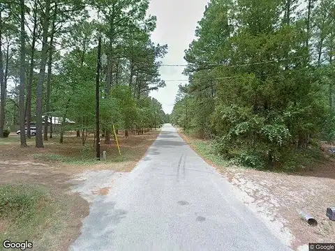 Cardinal Loop, Paige, TX 78659