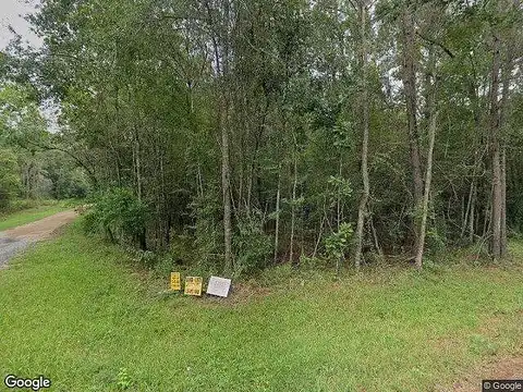 County Road 3610 (Lot 37 &Amp; 38), Cleveland, TX 77372