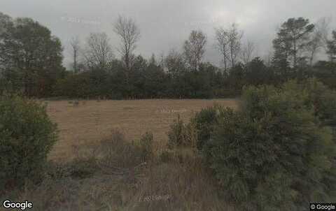Romaine, BISHOPVILLE, SC 29010