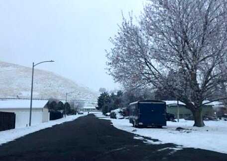 Spruce, PROSSER, WA 99350
