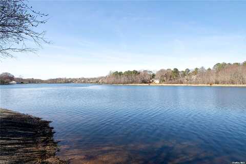 Newman, PATCHOGUE, NY 11772