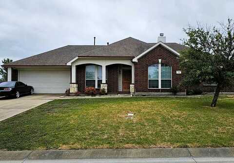 Palomino, FATE, TX 75087