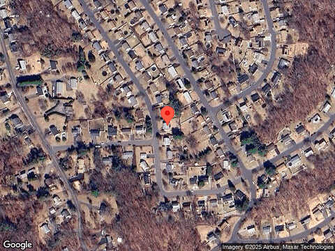 Tawny Thrush, NAUGATUCK, CT 06770