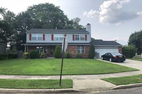 Carnation, WOODBURY, NJ 08096