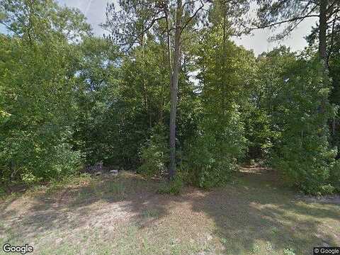 Pine Loop, BLYTHEWOOD, SC 29016