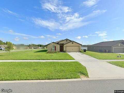 Pale Grass, LEESBURG, FL 34788