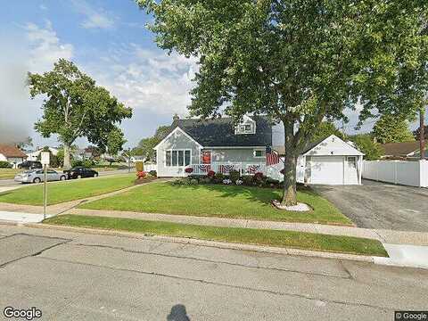 Daffodil, WANTAGH, NY 11793