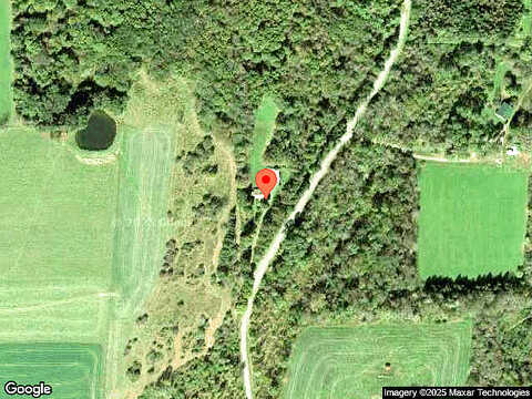 Bird, EARLVILLE, NY 13332