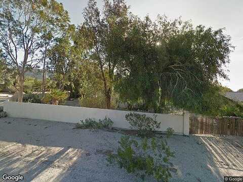 Cholla, WHITEWATER, CA 92282