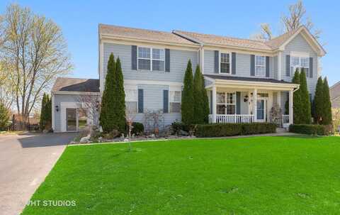 Blume, ELGIN, IL 60124
