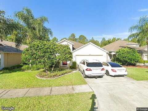 Weeping Elm, TAMPA, FL 33626