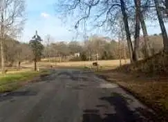 County Road 2215, TYLER, TX 75707