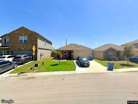 Silver Tree, VON ORMY, TX 78073