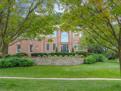Sharon, HOMER GLEN, IL 60491
