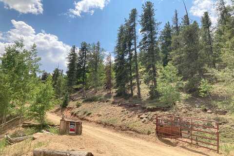 Clark, BAILEY, CO 80421