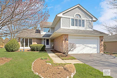 Deer Run, MONTGOMERY, IL 60538