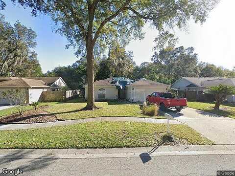 Swan Lake, LUTZ, FL 33549