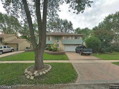Marigold, HANOVER PARK, IL 60133