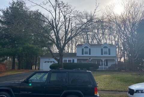 Anita, JACKSON, NJ 08527