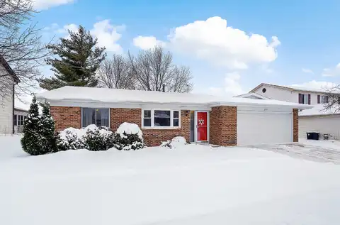 Pheasant, WOODRIDGE, IL 60517
