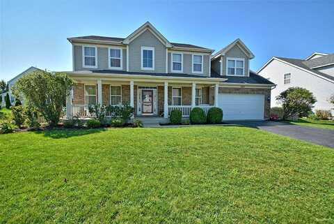 Knoll, PLAINFIELD, IL 60544