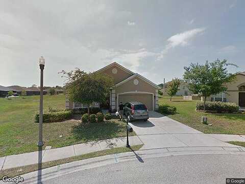 Triggerfish, HOLIDAY, FL 34691