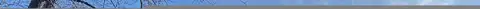 Prairie, GLEN ELLYN, IL 60137