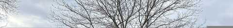 Surrey, MOUNT LAUREL, NJ 08054