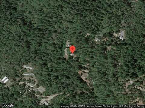 White Fir, OROVILLE, CA 95966
