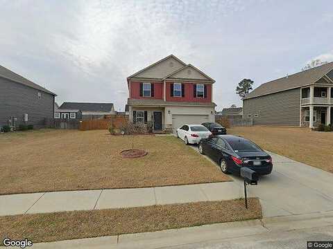 Red Hawk, EFFINGHAM, SC 29541