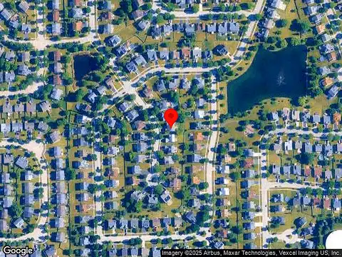Aster, ROMEOVILLE, IL 60446