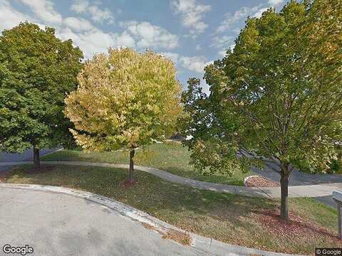 Ivywild, NEW LENOX, IL 60451
