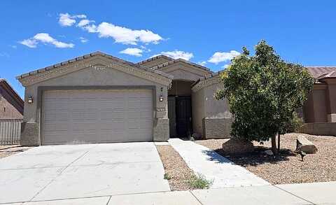 Sonora Desert, KINGMAN, AZ 86401