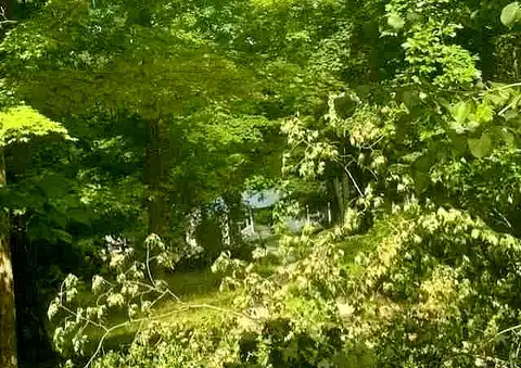 Possum Hollow, CAMPBELLSBURG, IN 47108