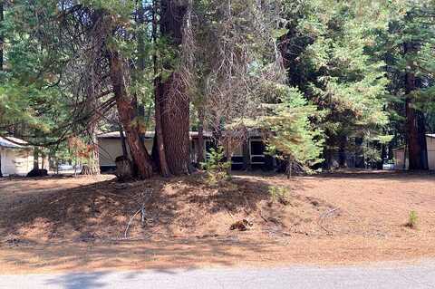 Bethany, SHINGLETOWN, CA 96088