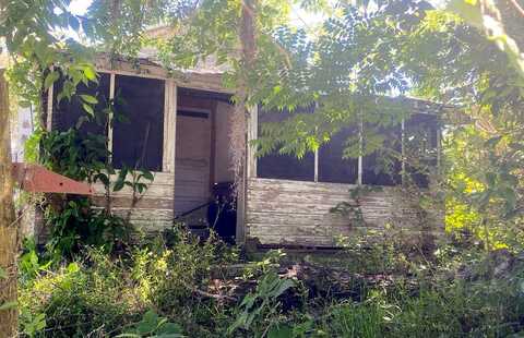 Rose, DADE CITY, FL 33523
