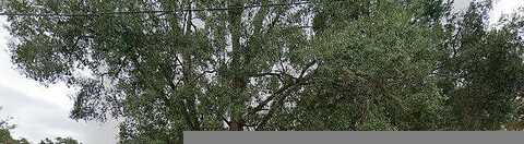 Marshall, DADE CITY, FL 33523