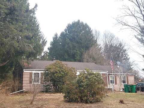 Trinka, HOPEWELL JUNCTION, NY 12533