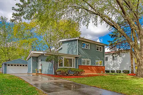 Wren, ROLLING MEADOWS, IL 60008